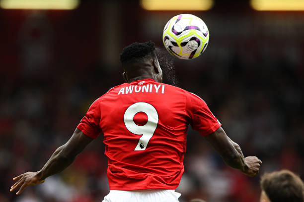 期间的成长 期间的成长