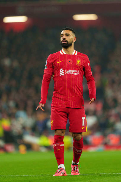 他不仅仅依 他不仅仅依