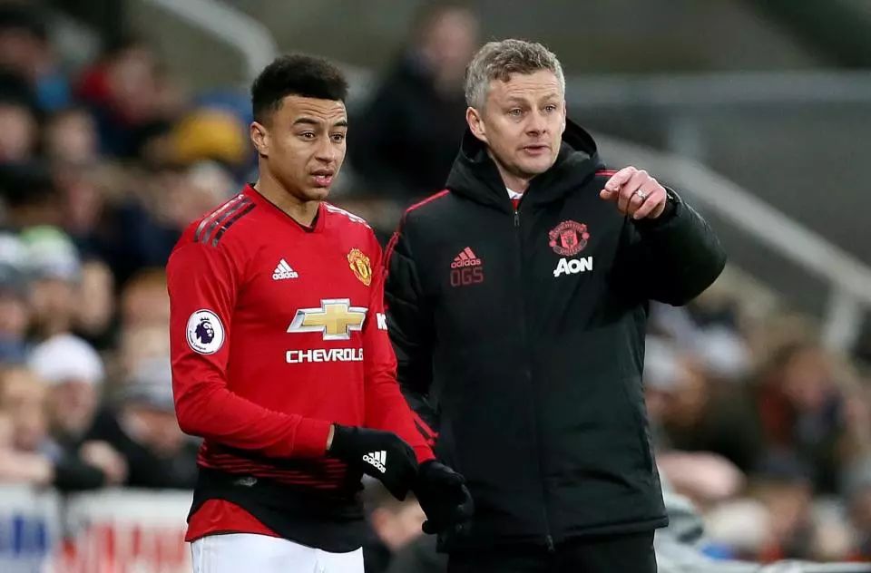 示了帕尔默 示了帕尔默